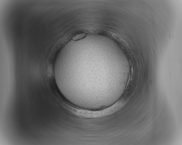 X0000101450048200807211322