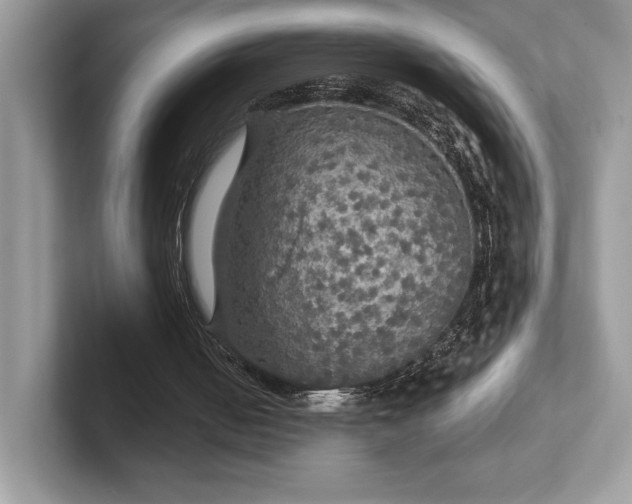 X0000101450050200807211321