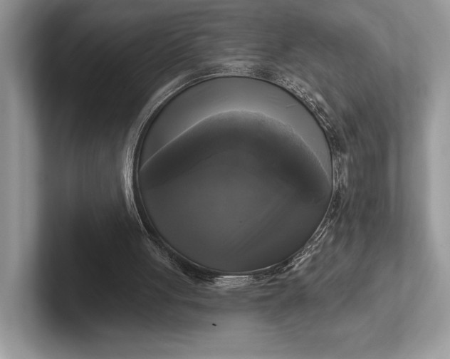 X0000101450051200807211321