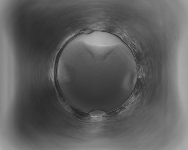 X0000101450052200807211321