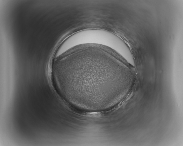 X0000101450053200807211321