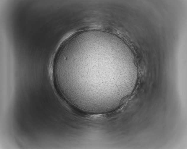 X0000101450054200807211321