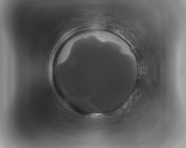 X0000101450055200807211321