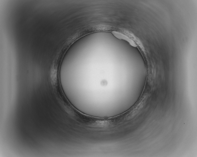 X0000101450057200807211321