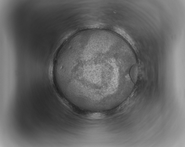 X0000101450058200807211321