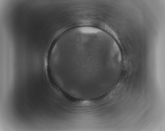 X0000101450059200807211321