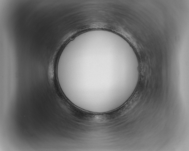 X0000101450060200807211321