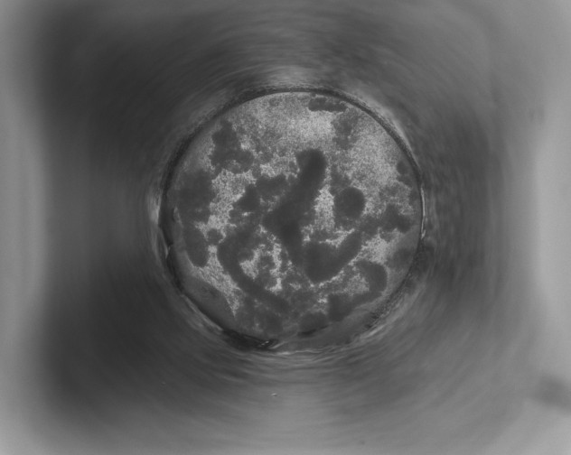 X0000101450061200807211321