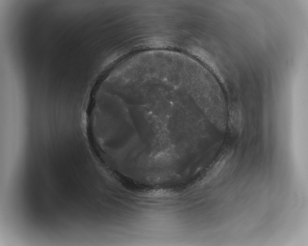 X0000101450063200807211321