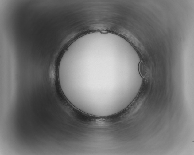 X0000101450064200807211321