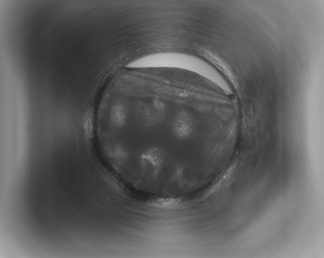 X0000101450065200807211321