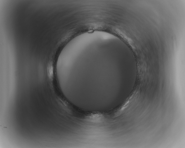 X0000101450067200807211321