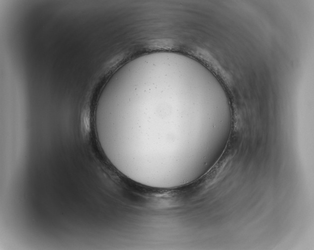 X0000101450068200807211321