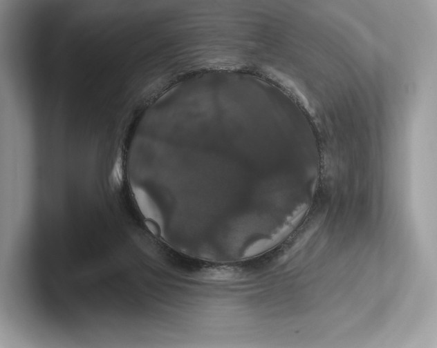 X0000101450069200807211321