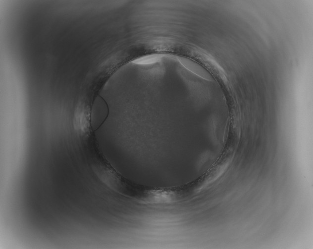 X0000101450073200807211321