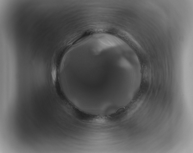 X0000101450076200807211321