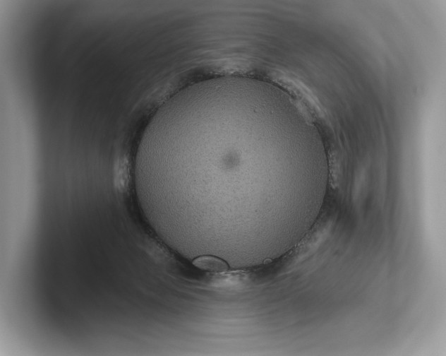 X0000101450077200807211321