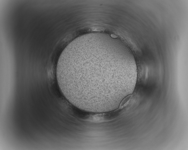 X0000101450078200807211321