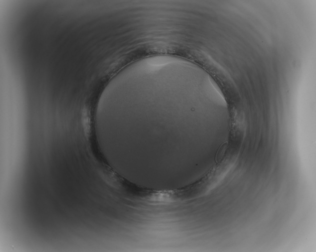 X0000101450080200807211321