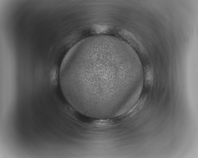 X0000101450082200807211321