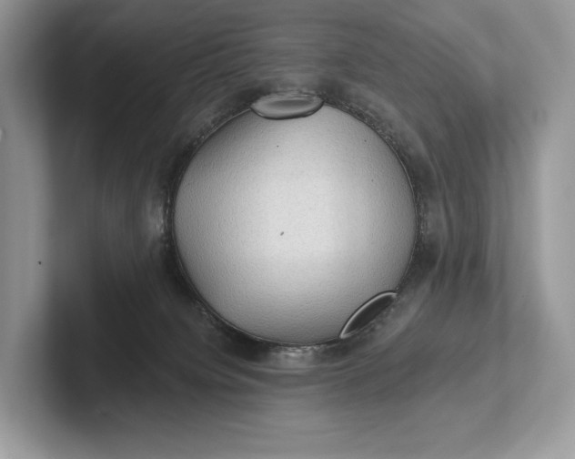 X0000101450084200807211321