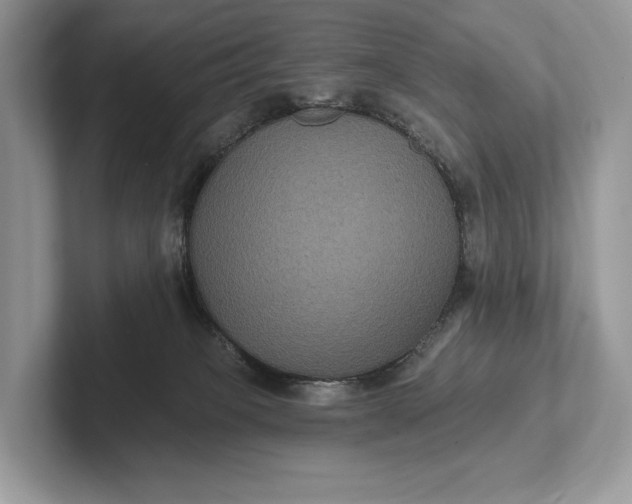 X0000101450085200807211321