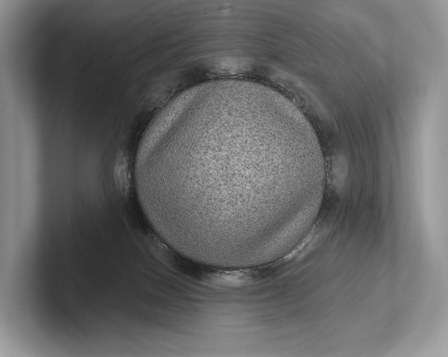 X0000101450086200807211321