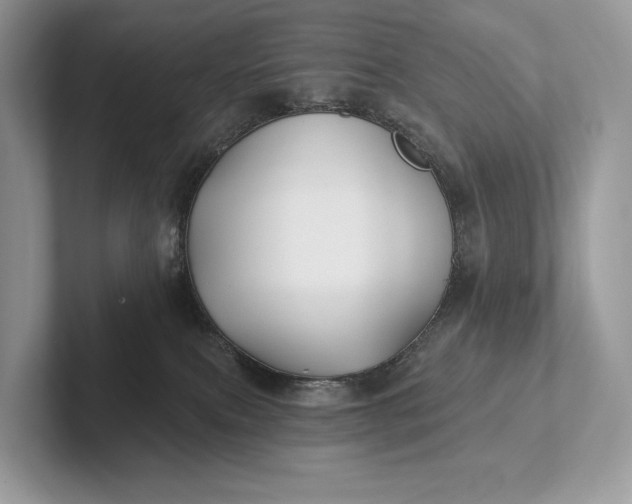 X0000101450087200807211321