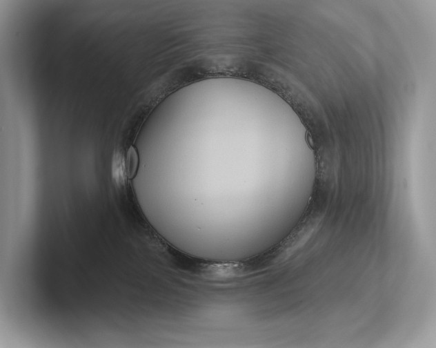 X0000101450089200807211321