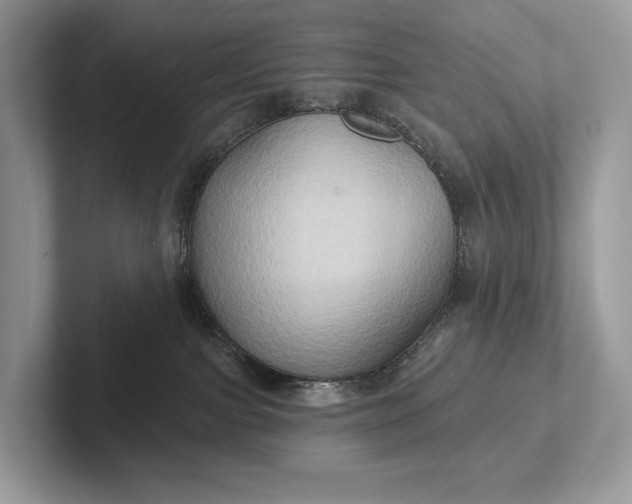 X0000101450091200807211321