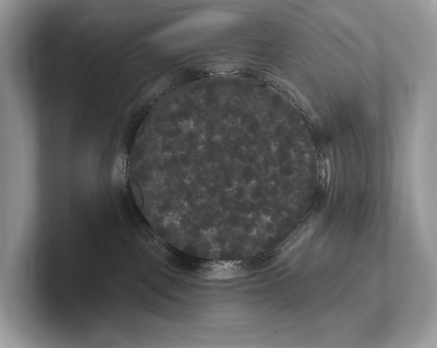 X0000101450093200807211321