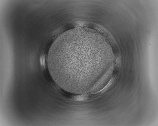 X0000101450094200807211321