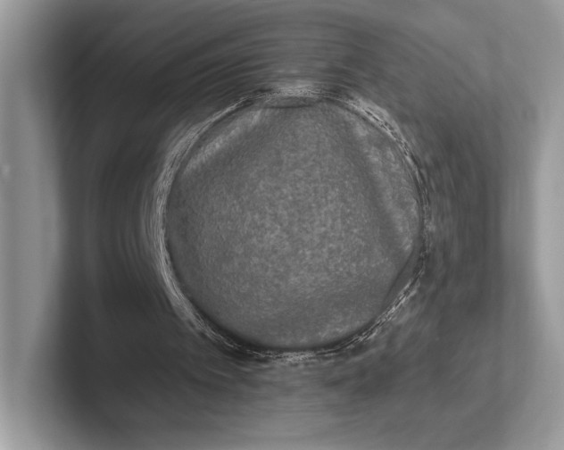 X0000101450097200807211321