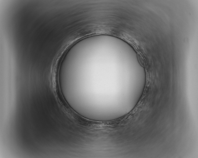 X0000101450098200807211321