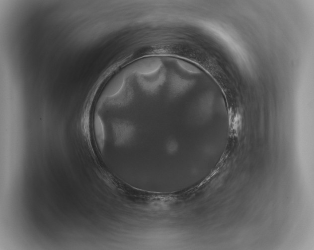 X0000101450099200807211321