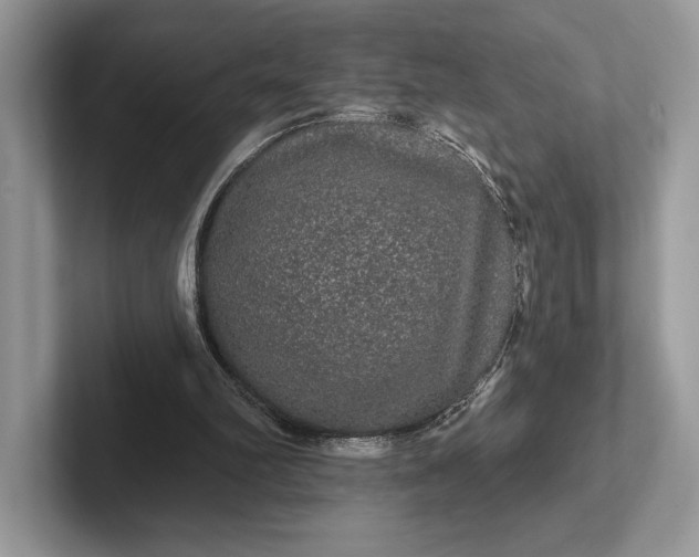 X0000101450102200807211321