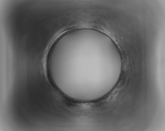 X0000101450103200807211321