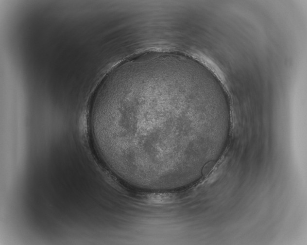 X0000101450105200807211321