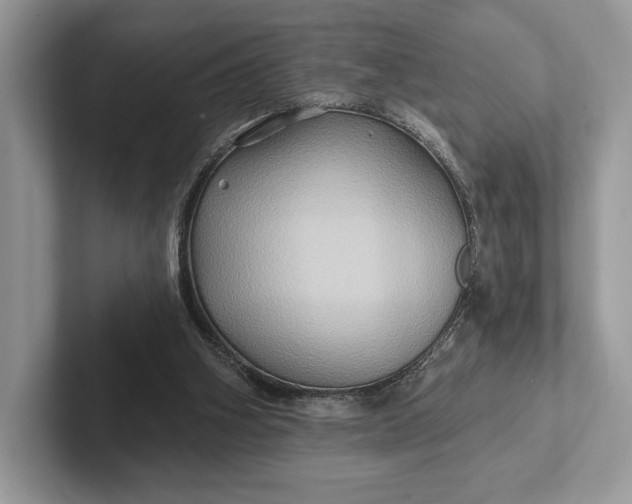 X0000101450106200807211321