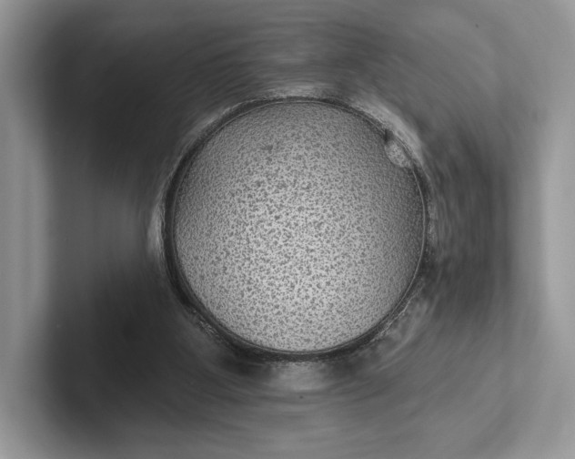 X0000101450107200807211321