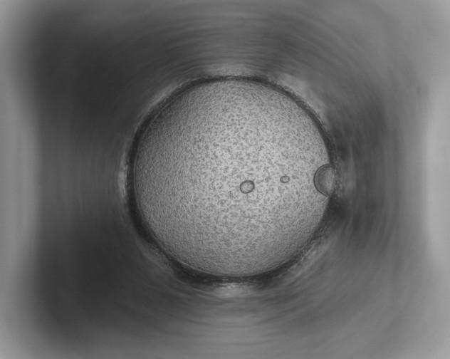 X0000101450111200807211321