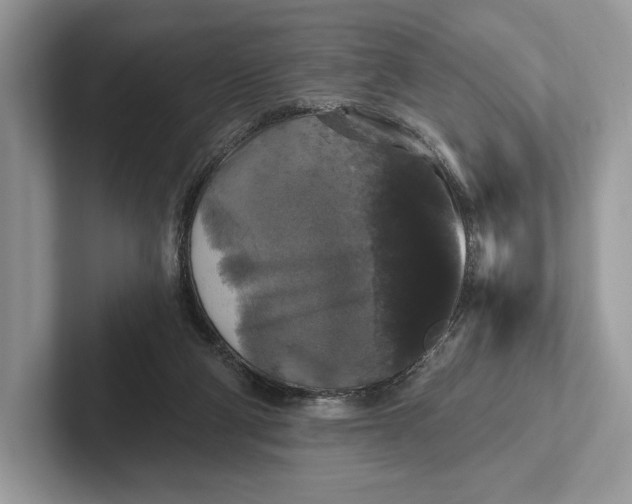 X0000101450114200807211321