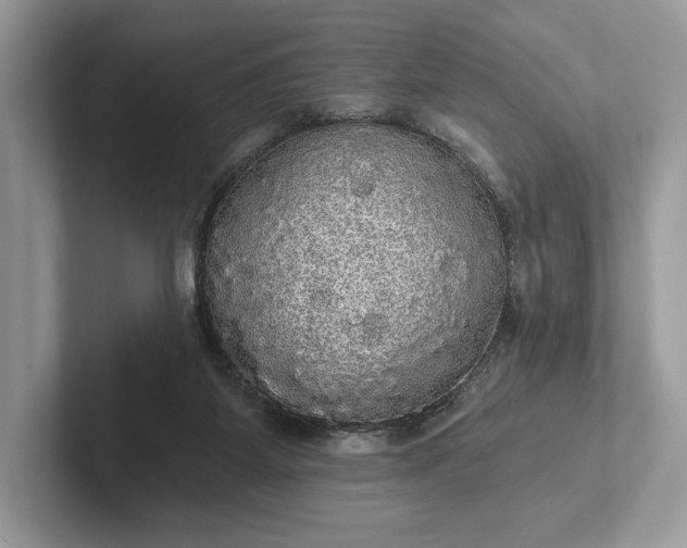 X0000101450115200807211321