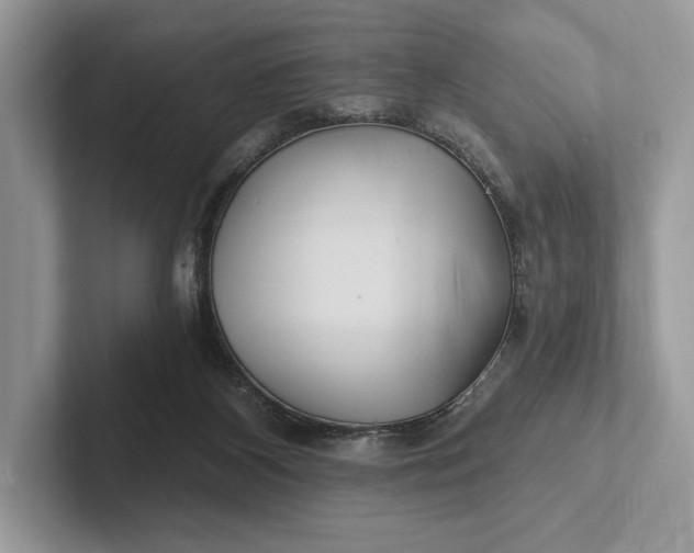 X0000101450116200807211321