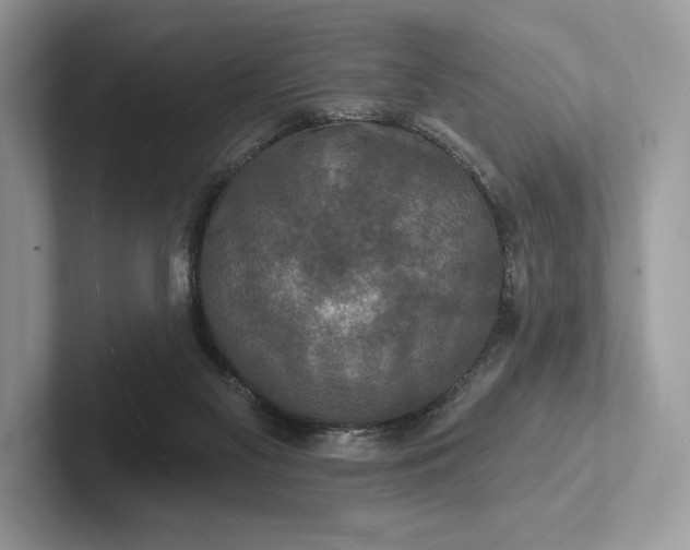 X0000101450117200807211321