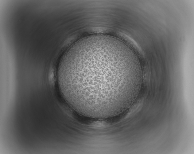 X0000101450119200807211321