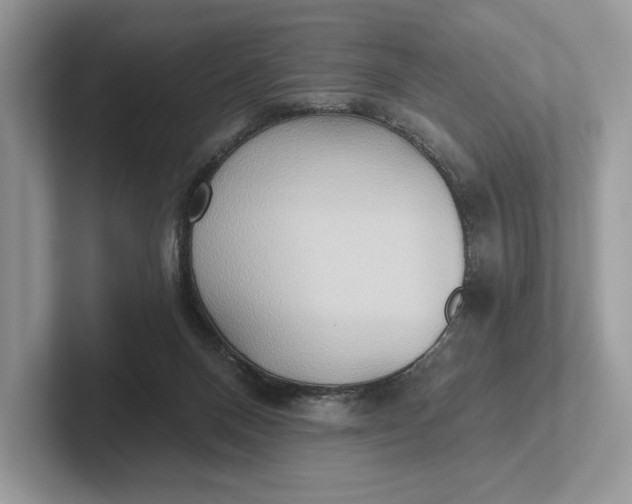 X0000101450120200807211321