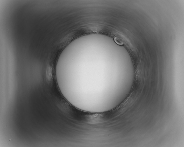 X0000101450122200807211321