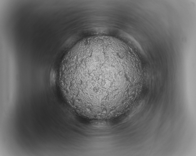 X0000101450123200807211321