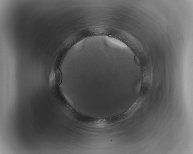 X0000101450124200807211321